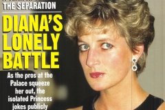 dislonleybattlecover