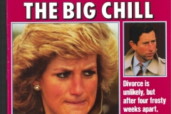 bigchill1